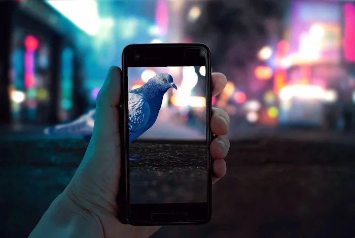 Gece şehir ışıkları önünde elde tutulan akıllı telefon
