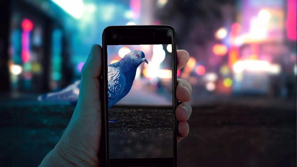 Gece şehir ışıkları önünde elde tutulan akıllı telefon